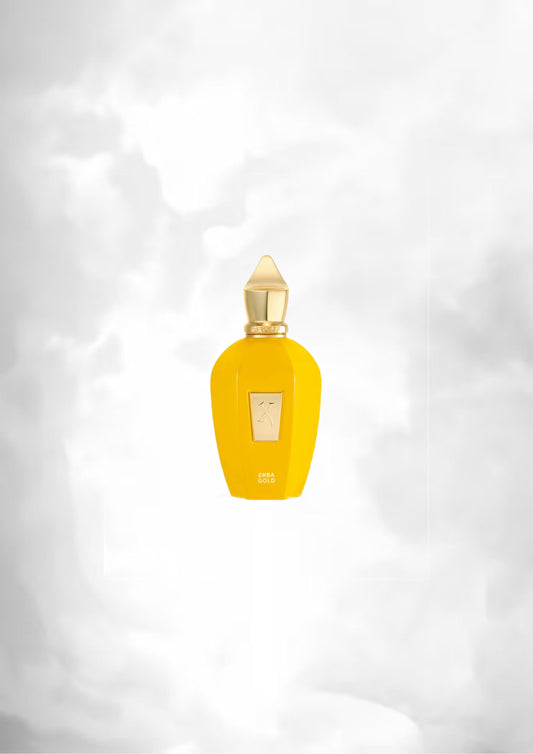 Erba gold tester 100ml by TWINS FRAGRANCE
